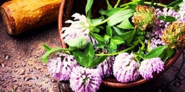 Unlock Flavor: 7 Unexpected Herbs for Healthy Chicken Recipes - Cover Image