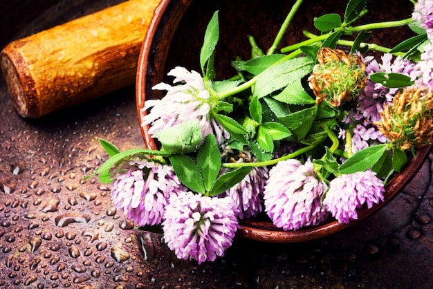Unlock Flavor: 7 Unexpected Herbs for Healthy Chicken Recipes