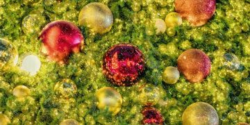Unlock Nutrient Absorption: The Role of Gut Microbiome Diversity - Cover Image
