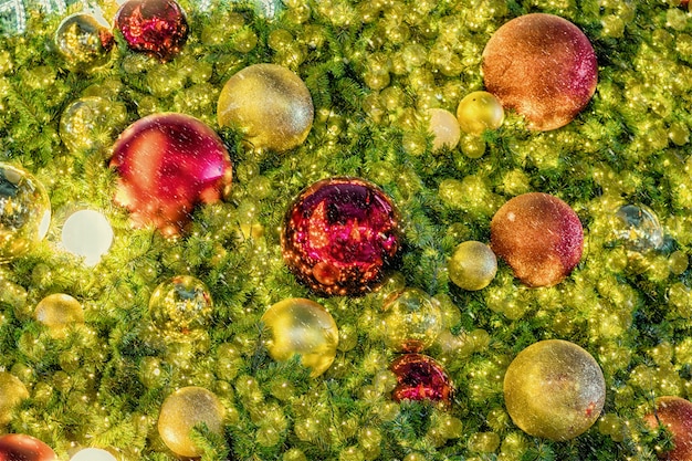Unlock Nutrient Absorption: The Role of Gut Microbiome Diversity