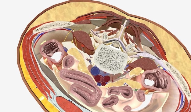 An illustration showing a cross-section of the human gut, highlighting the different layers and the interaction between the gut microbiome and the intestinal lining.