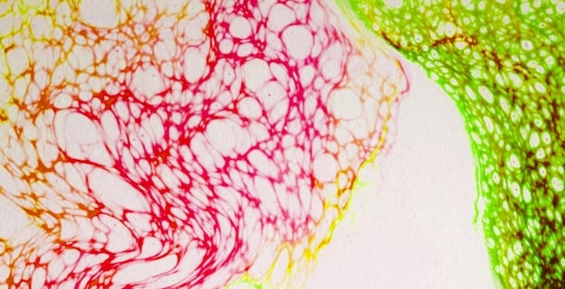An illustration showing nerve cells, with some highlighted in a different color to depict nerve damage caused by Vitamin B12 deficiency, emphasizing the importance of the vitamin for neurological health.