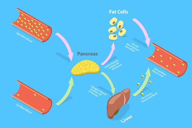 A detailed illustration showing the metabolic pathways involved in ketogenesis, highlighting the breakdown of fatty acids in the liver and the production of ketone bodies. The image should show the transport of ketone bodies to different tissues in the body such as the brain and muscles.