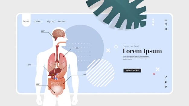 A diagram illustrating the digestive system and highlighting the key organs involved in satiety signaling, such as the stomach, intestines, and pancreas. Arrows indicate the release of various hormones.