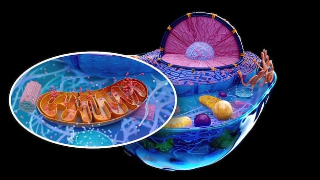 A detailed scientific illustration showing the diversity of microorganisms within the human gut. The illustration should include various types of bacteria, fungi, and viruses, with labels indicating their scientific names and key functions. The background should be a gradient of light and dark blue, resembling the intestinal environment.