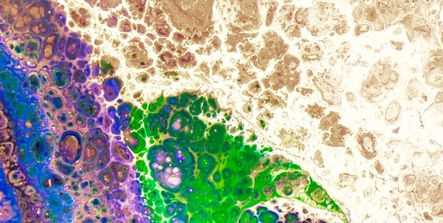 A visual comparison of healthy, vibrant cells next to cells with accumulated damage and debris. Arrows indicating the autophagy process cleaning and rejuvenating the damaged cells, resulting in healthier cell structures.