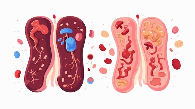 An illustration comparing inflamed arteries with fatty plaque buildup versus healthy arteries with clean, smooth walls, emphasizing the protective effect of omega-3 fatty acids on cardiovascular health.