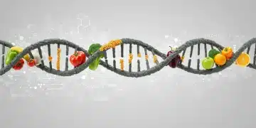 DNA helix intertwined with healthy food, symbolizing genetic testing's role in personalized nutrition.