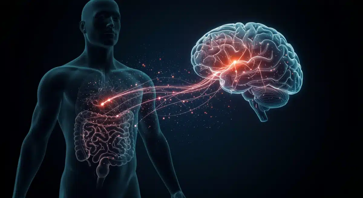 Gut-brain axis connection in athlete well-being